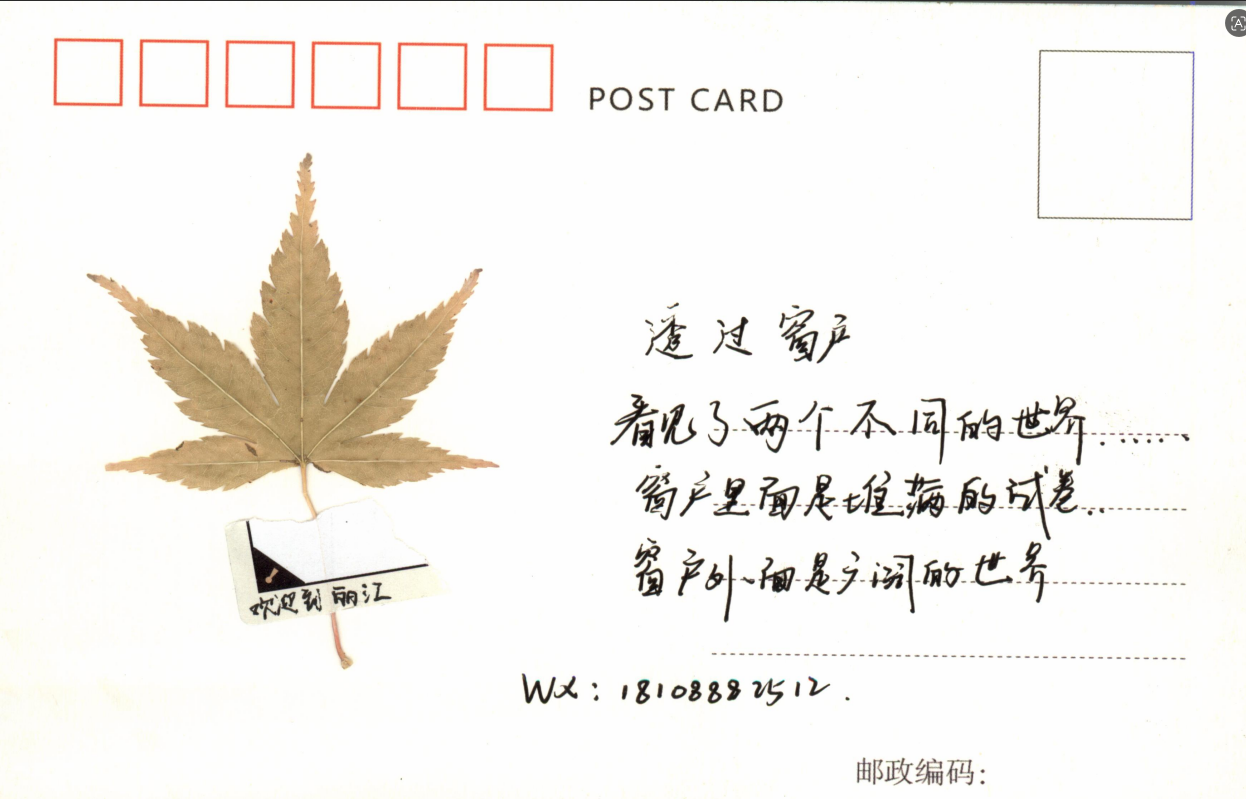 明信片1